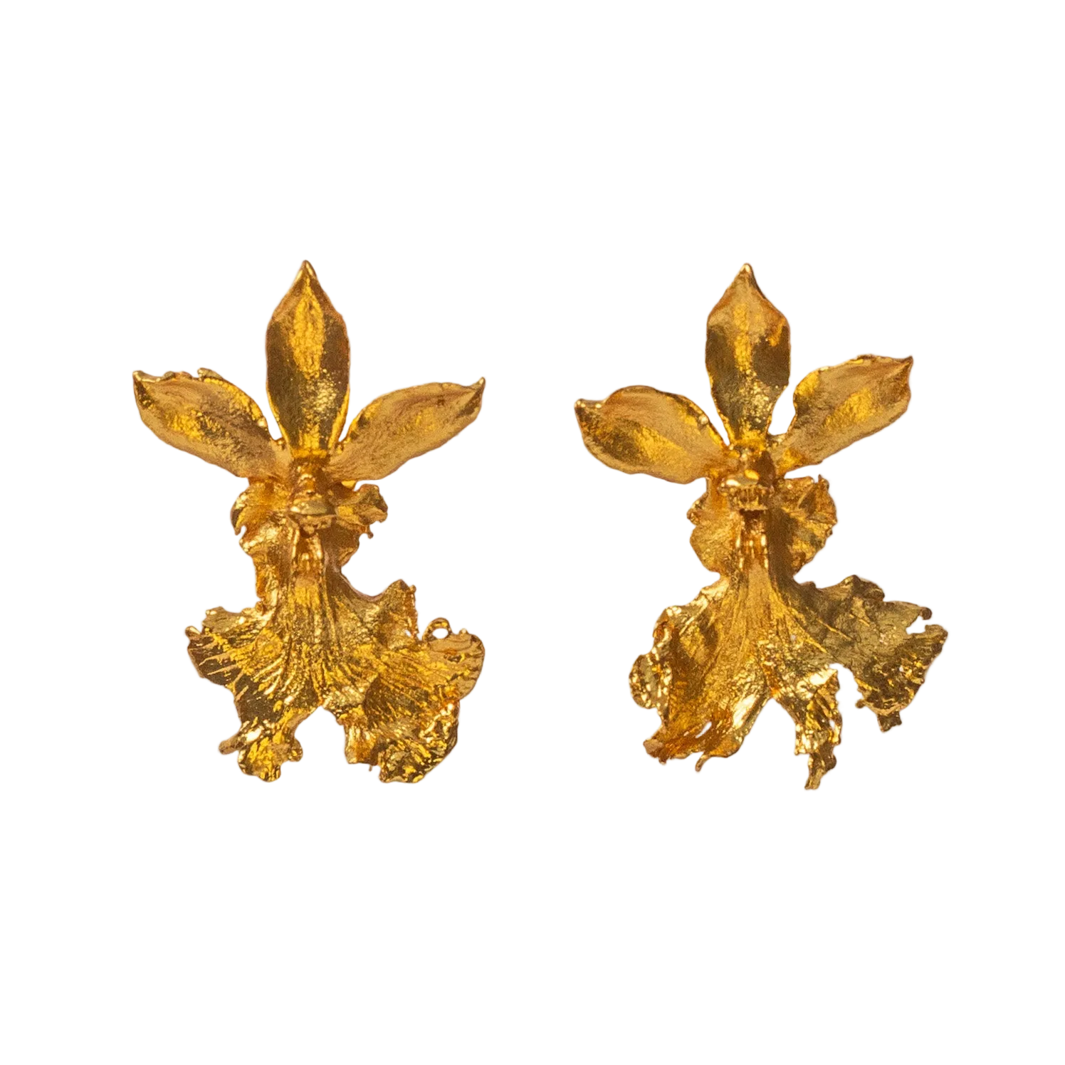 Pendiente Orquidea Caucaea