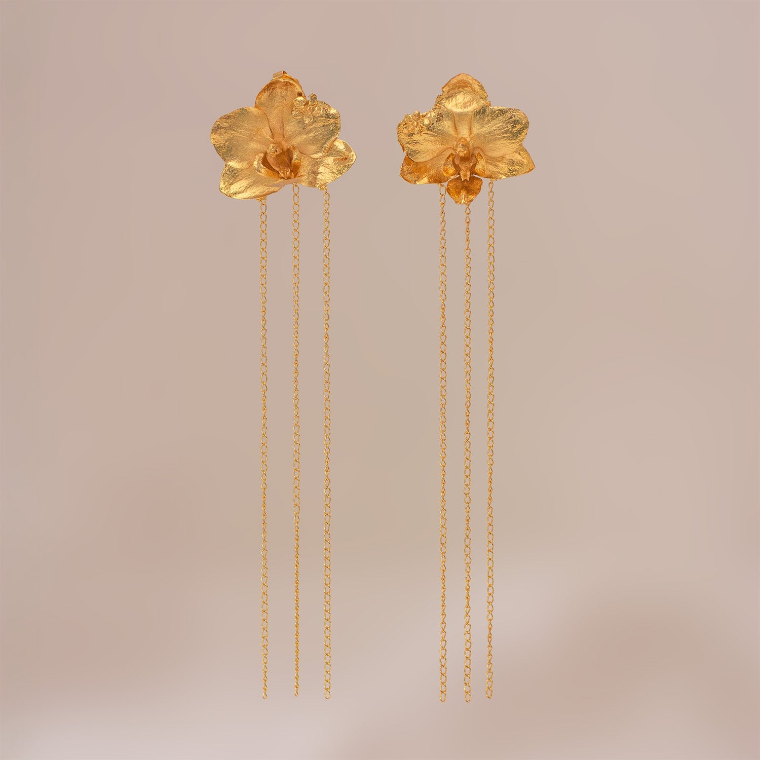 Aretes dorados compuestos por una orquídea Phalaenopsis en el lóbulo y una fina cadena colgante que aporta movimiento.