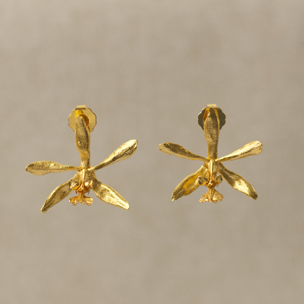 Pendientes Orquídea Encyclia Oncidioides