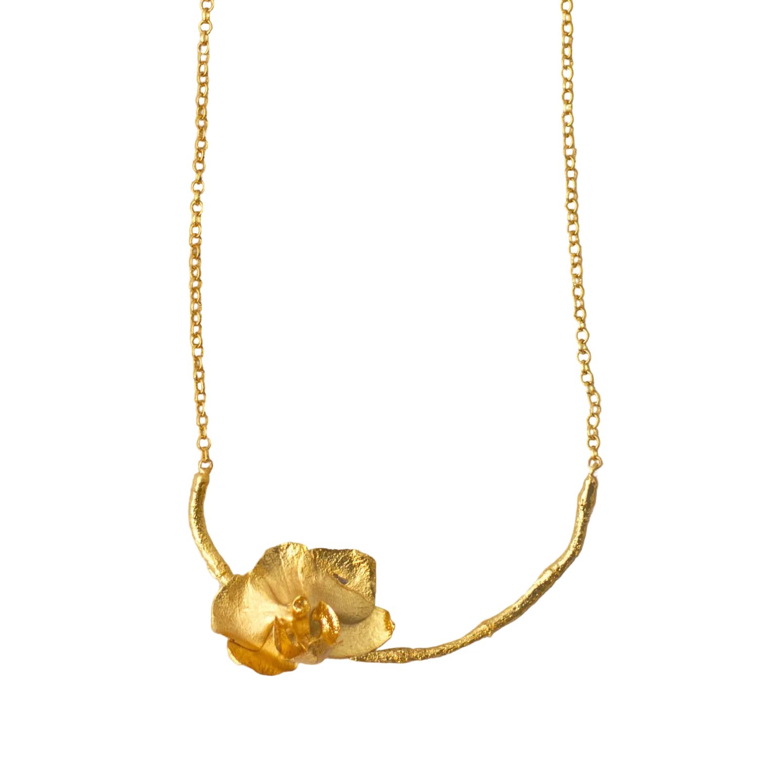 Collar Arco Ramita Orquídea Phalaenopsis Baby