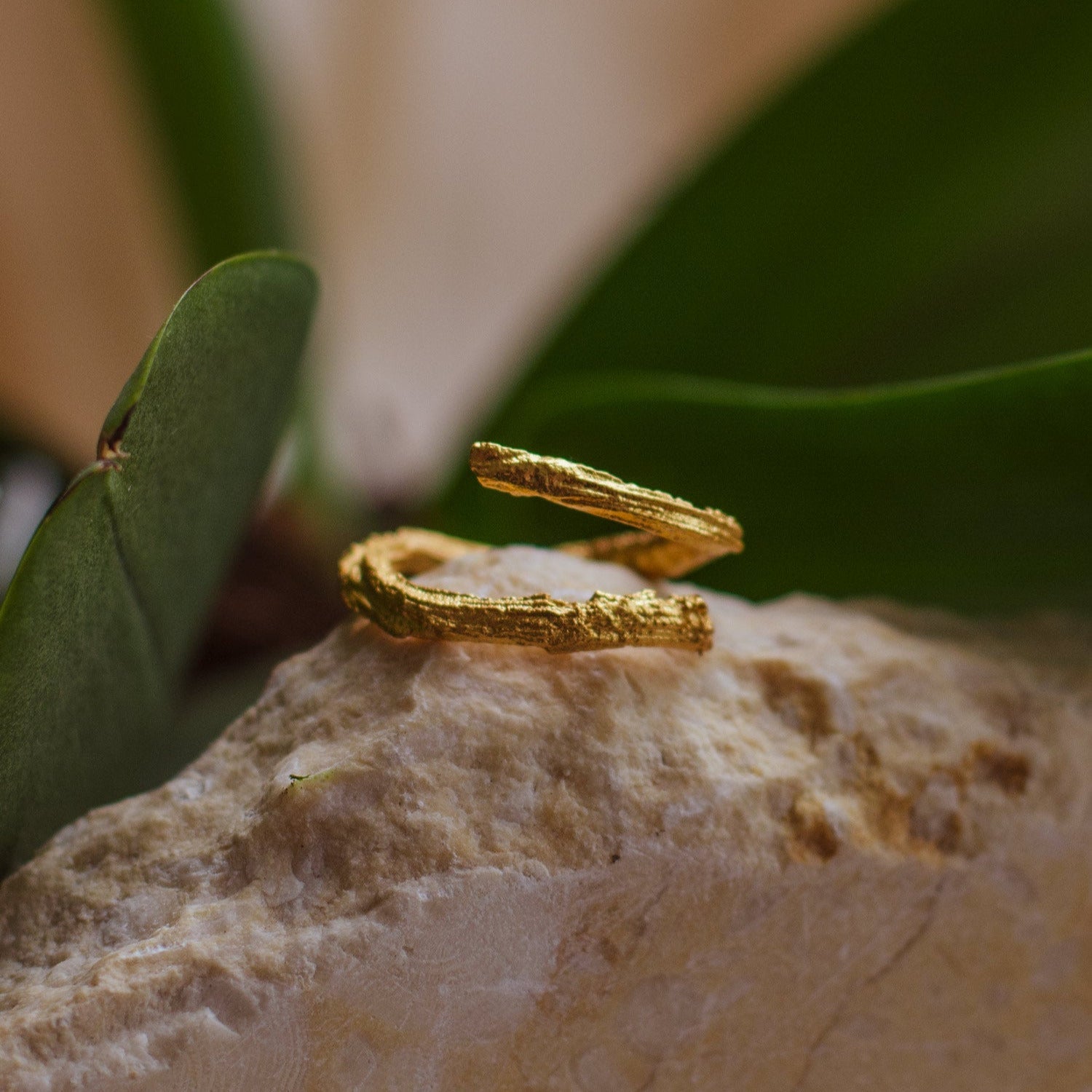 Anillo Ramita en bronce bañado en oro de 24k, destacando la textura y forma única de la ramita natural.