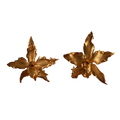 Pendientes Orquidea Crispum Sauco
