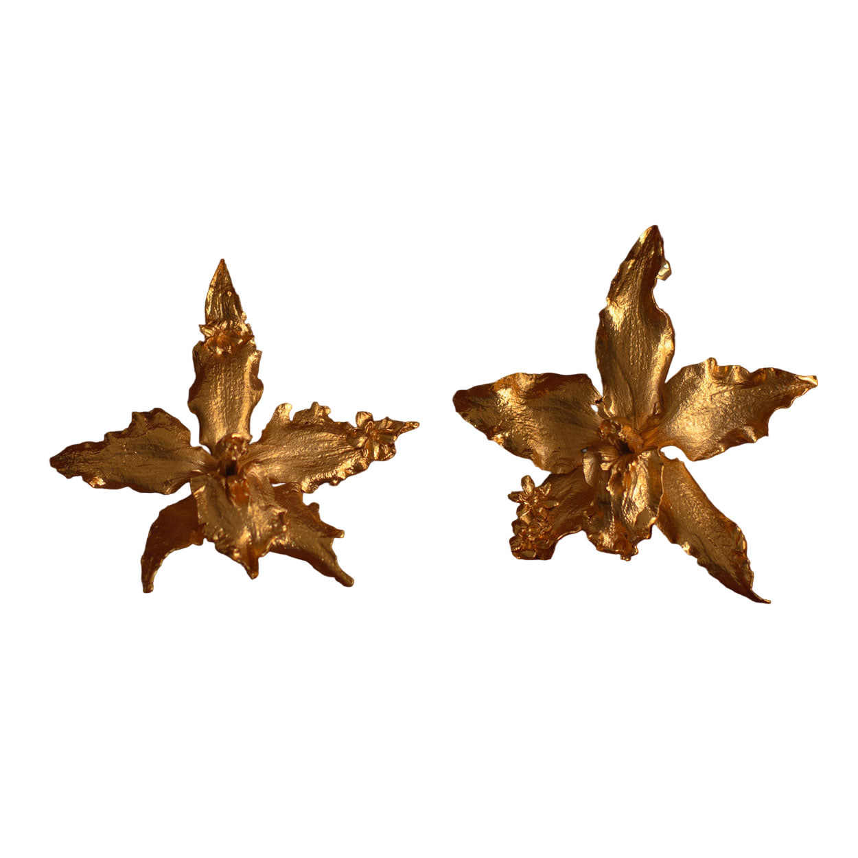 Pendientes Orquidea Crispum Sauco