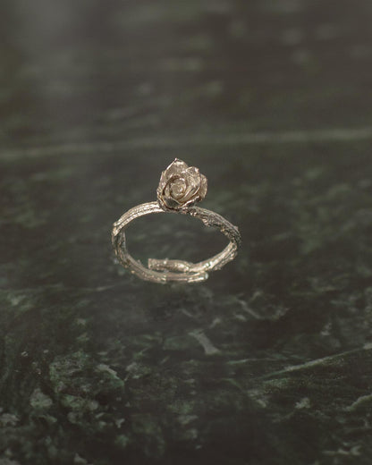 Anillo Ramita Flor Suculenta Plata Ecológica