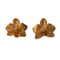Pendientes Orquidea Phalaenopsis Saucos