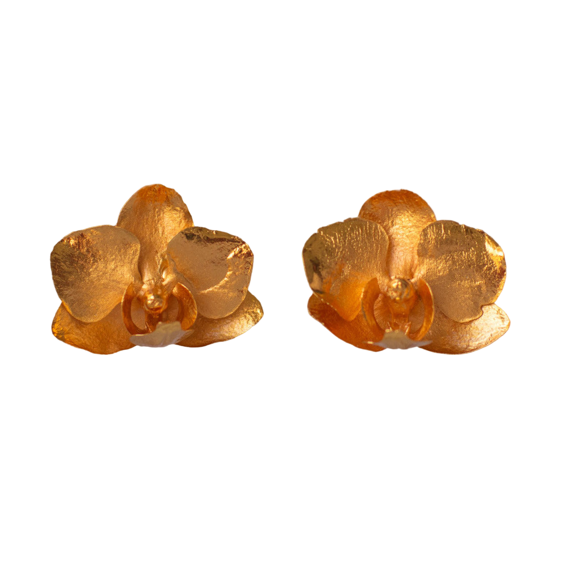 Pendiente de botón Orquidea Phalaenopsis Baby