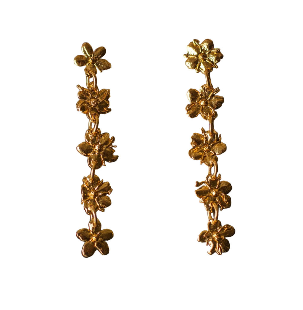 Pendientes Cinco Saucos