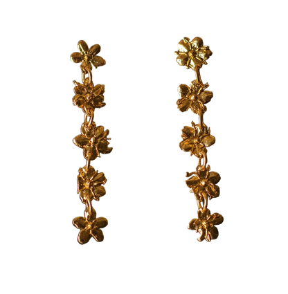 Aretes Cinco Saucos
