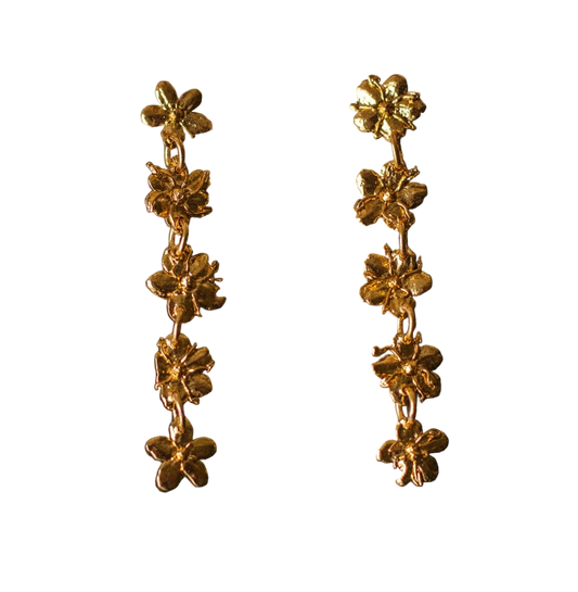 Aretes Cinco Saucos