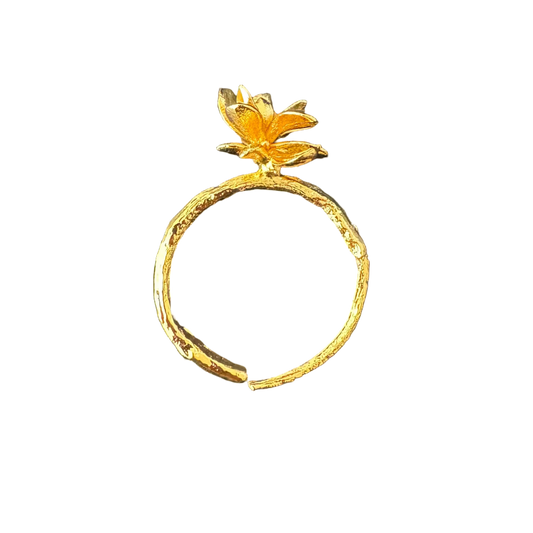 Anillo Ramita Anturio Flor Suculenta