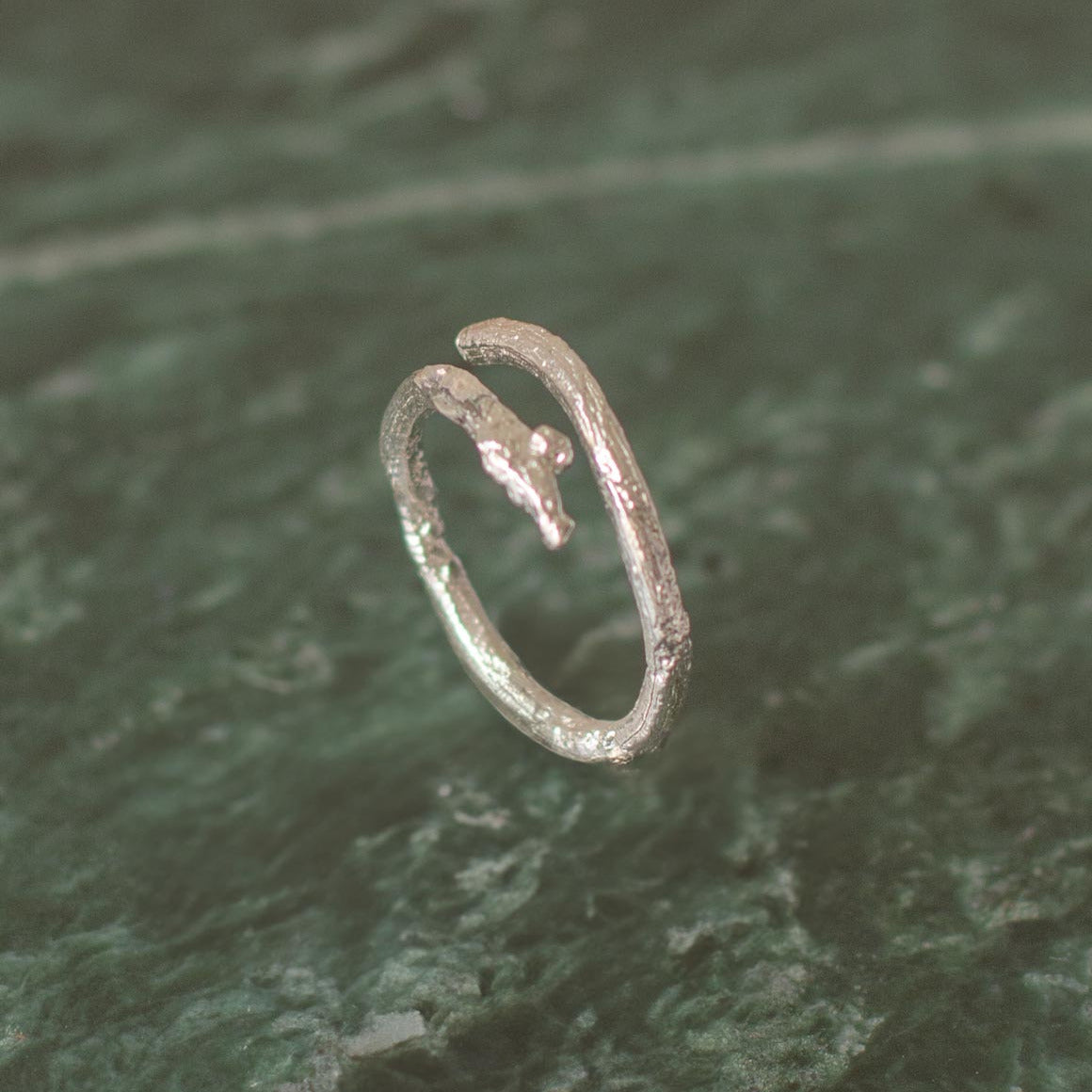 Anillo Ramita Abierto Plata Ecológica