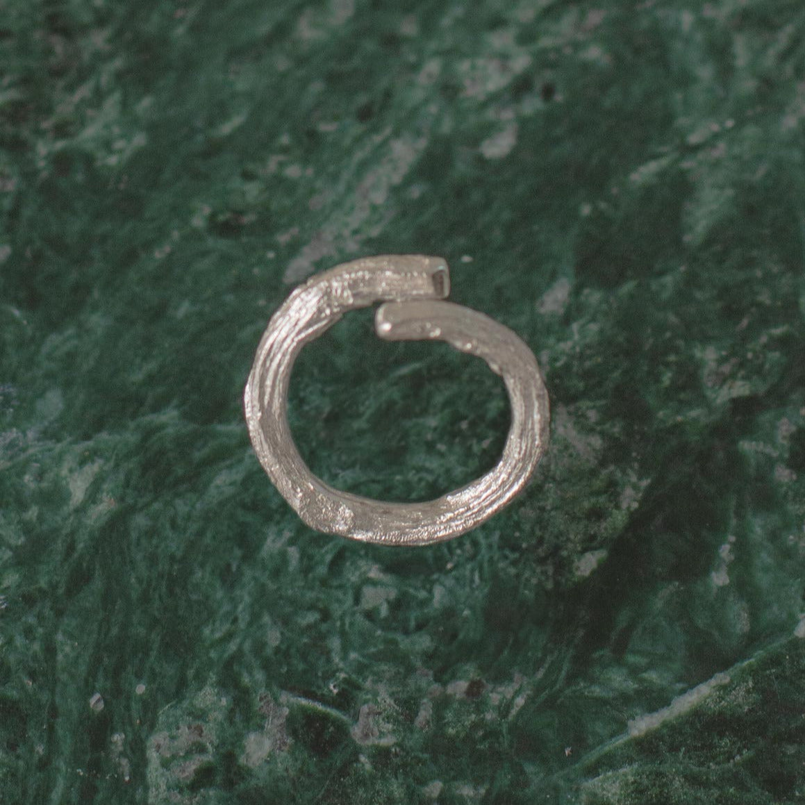 Anillo Ramita Abierto Plata Ecológica