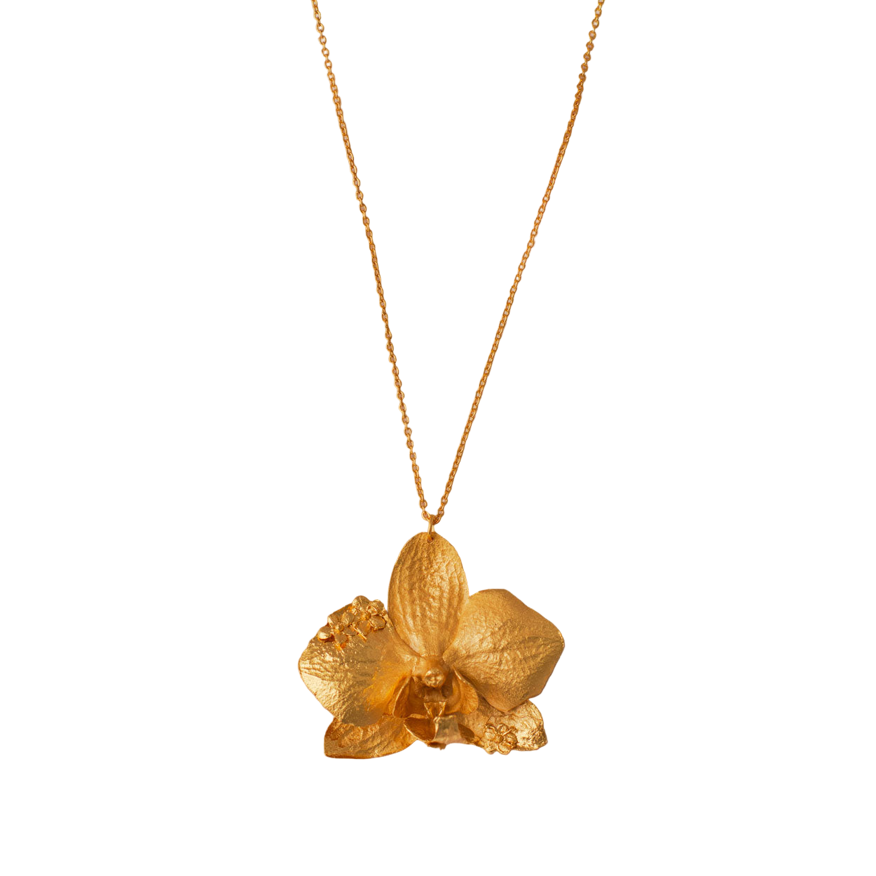 Collar Orquidea Phalaenopsis Sauco