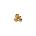 Broche Pin Flor Suculenta