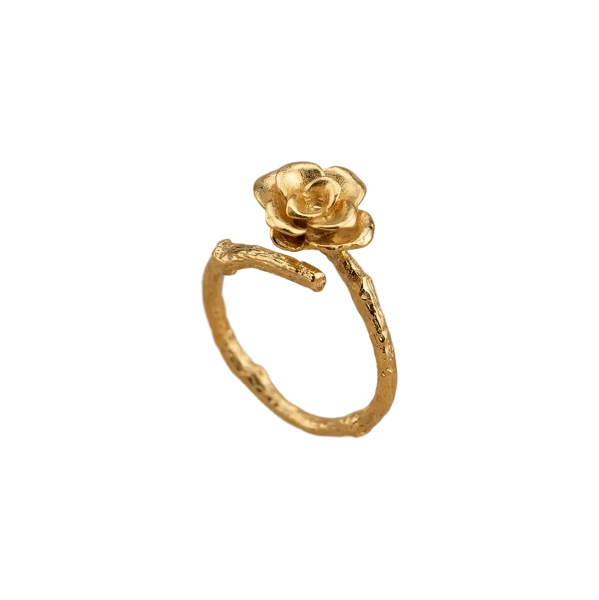 Anillo Ramita Anturio Flor Suculenta