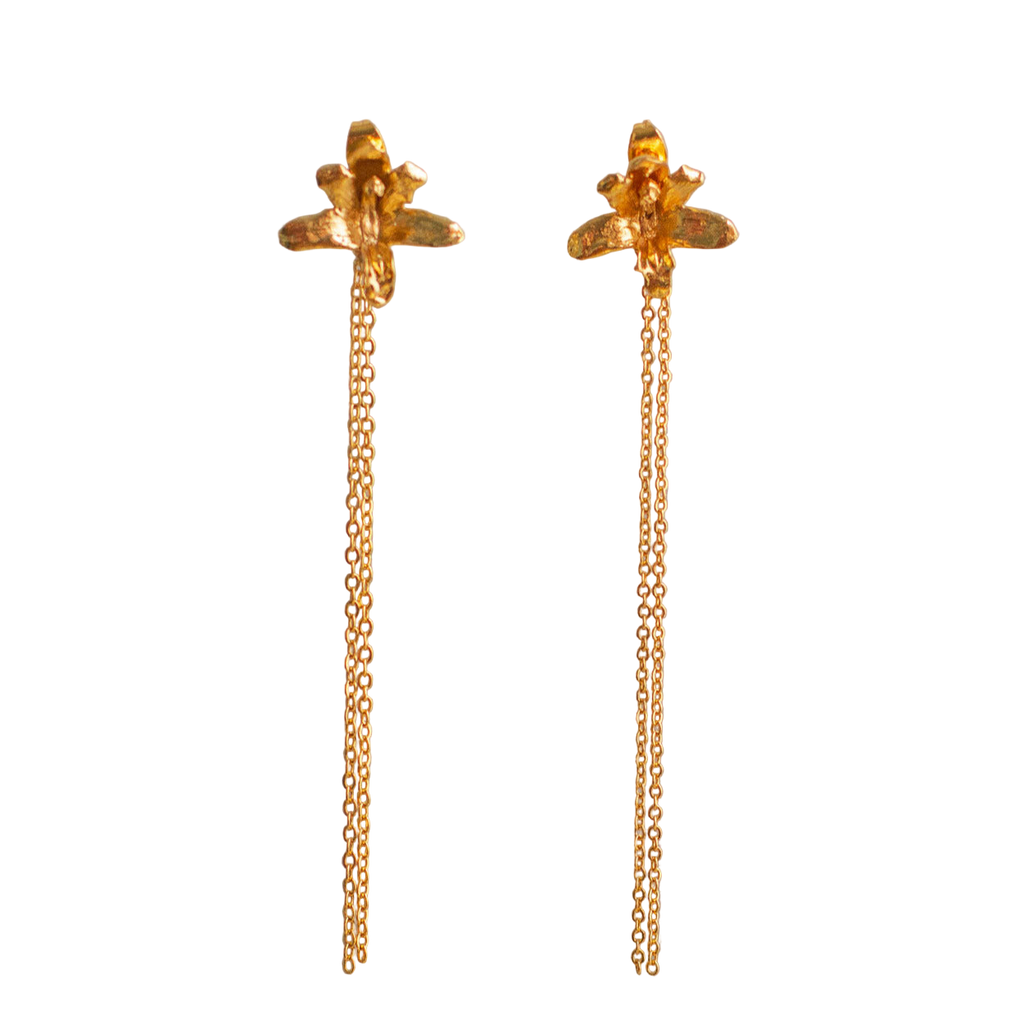 Pendientes largos Orquidea Maxilaria Cadena