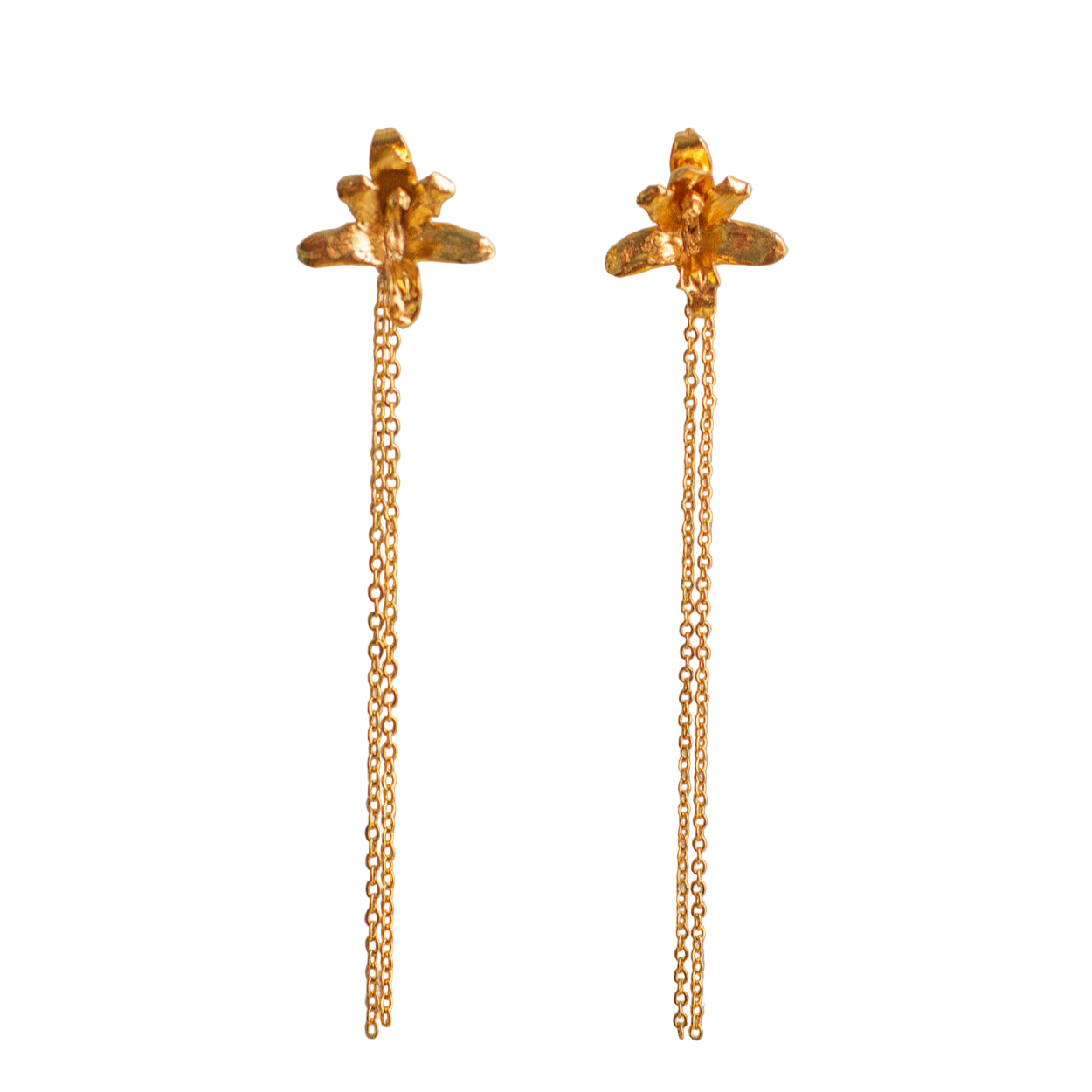 Pendientes largos Orquidea Maxilaria Cadena