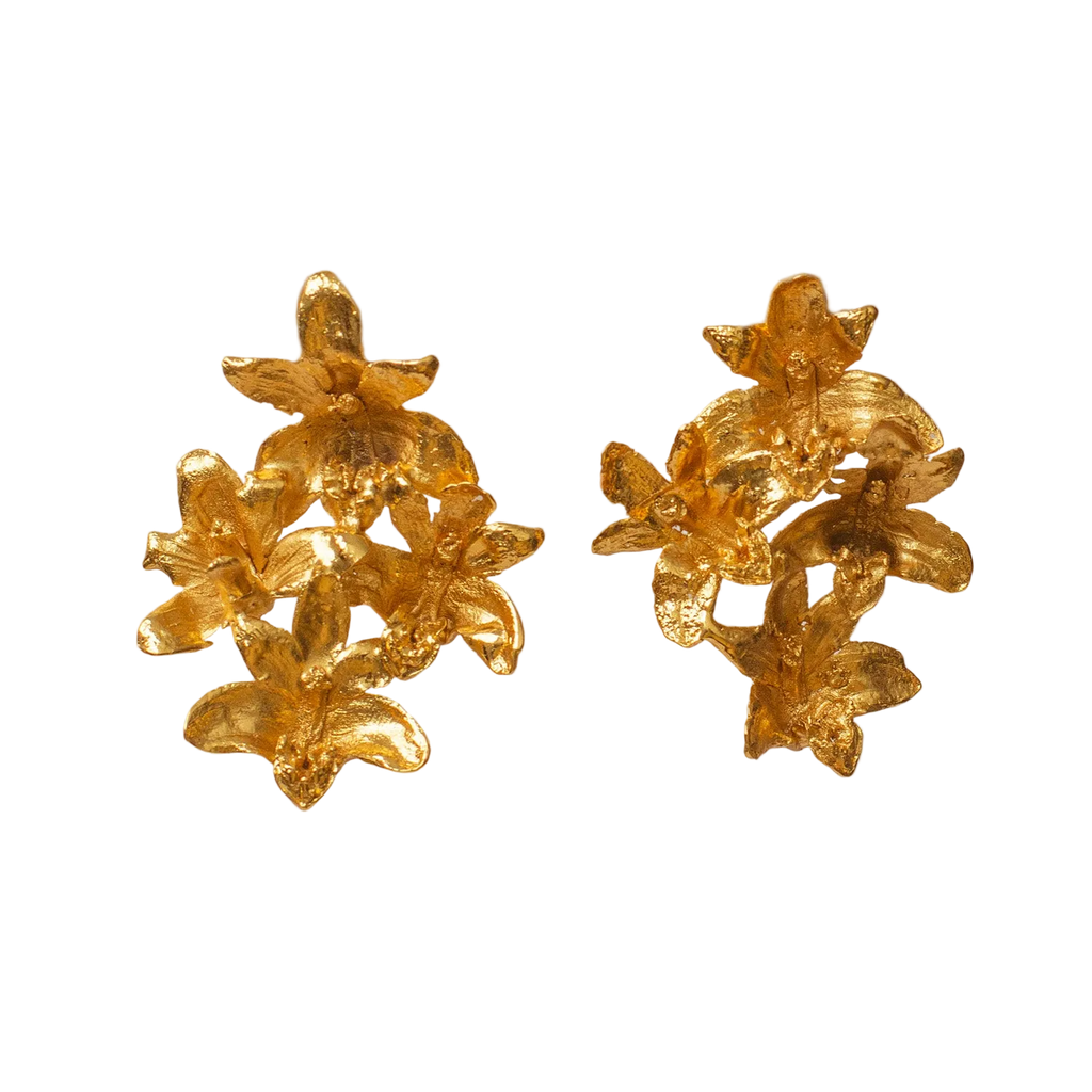 Pendientes Multi Orquidea Maxilaria
