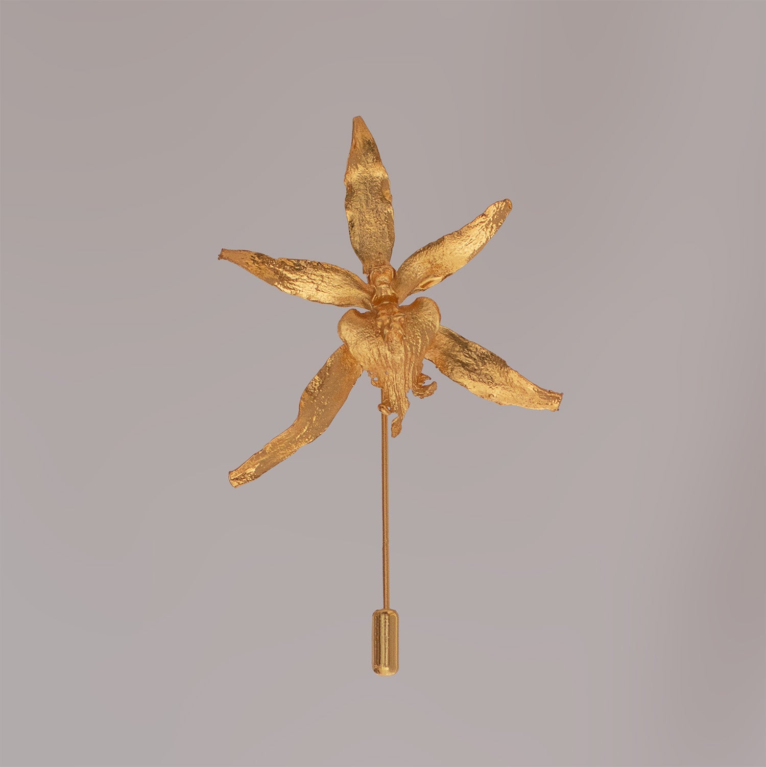 Broche dorado con forma de orquídea Brassia de pétalos largos y delgados, textura rugosa natural y acabado brillante.