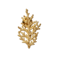 Pin de hoja de pino real inmortalizada en bronce con baño en oro 24k sobre fondo beige, joyería botánica artesanal colombiana