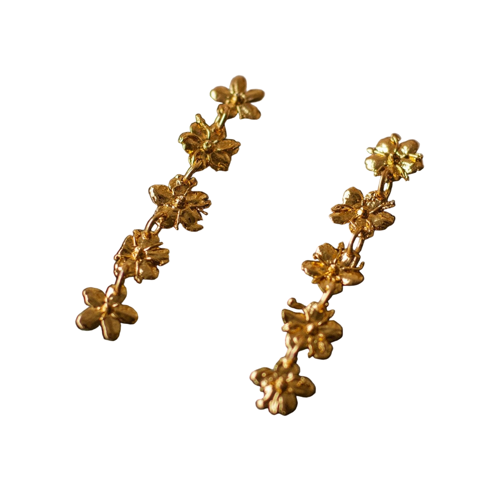 Pendientes Cinco Saucos