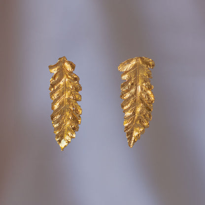 Cinnamon fern stud earrings, crafted from real fern leaves, plated in 24k gold.
