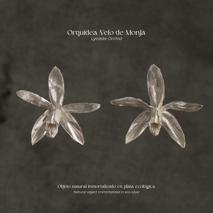 Elegant Lycaste Orchid Earrings crafted in 925 eco-friendly silver, capturing the essence of a blooming garden