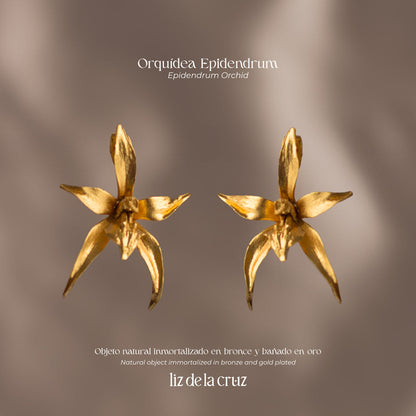 Elegant Epidendrum Orchid Earrings plated in 24K gold, capturing the unique essence and beauty of Colombian flora.