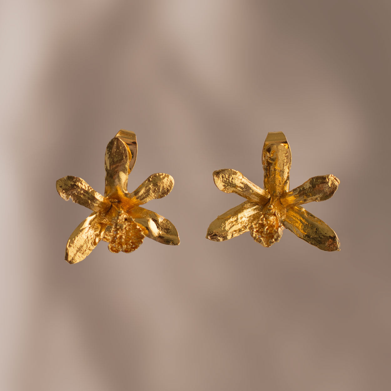 Elegant Florida Dollar Orchid earrings in 24k gold-plated bronze, reflecting artisanal craftsmanship and nature’s splendor.