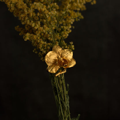 Elegant Phalaenopsis Baby Orchid and Twig Ring in 24K gold plating, symbolizing a deep connection with nature and a commitment to preservation.