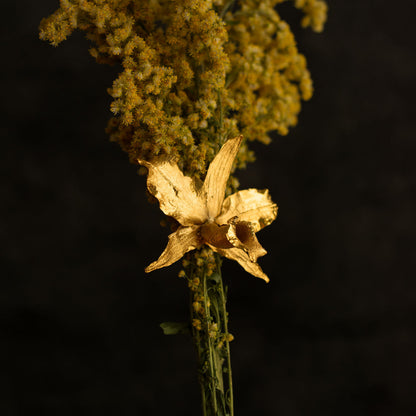 Luxurious Cattleya Orchid Ring in 24K gold plating, embodying the natural grandeur of Colombia's landscapes.