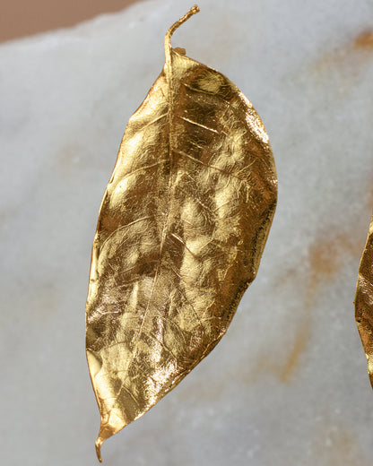 Elegant Cúcuta Leaf Stud Earrings in 24K gold plating, a meaningful accessory that captures the beauty and spirit of Cúcuta