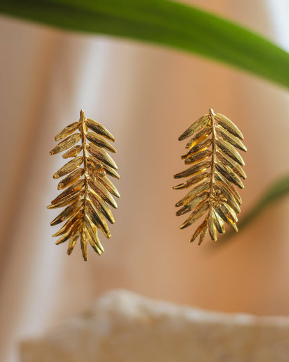 Close-up of Romeron Pine & Elderflower Earrings, highlighting the intricate details of the preserved foliage.
