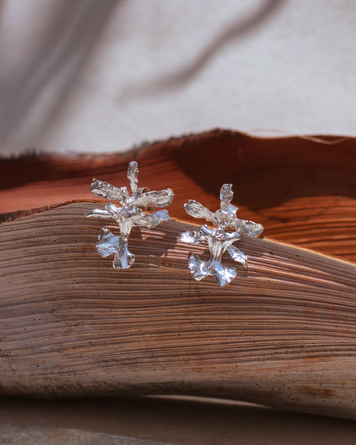 aretes en plata ecologica con orquidea oncidium inmortalizada