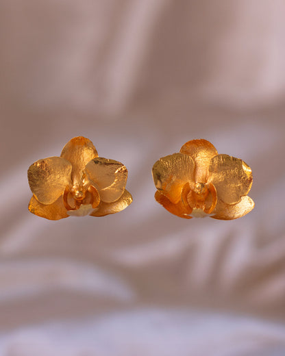 Elegant Phalaenopsis Baby Orchid Stud Earrings in 24K Gold Plating, embodying nature's timeless beauty