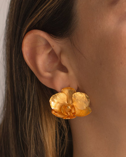 Elegant Phalaenopsis Baby Orchid Stud Earrings in 24K Gold Plating, embodying nature's timeless beauty