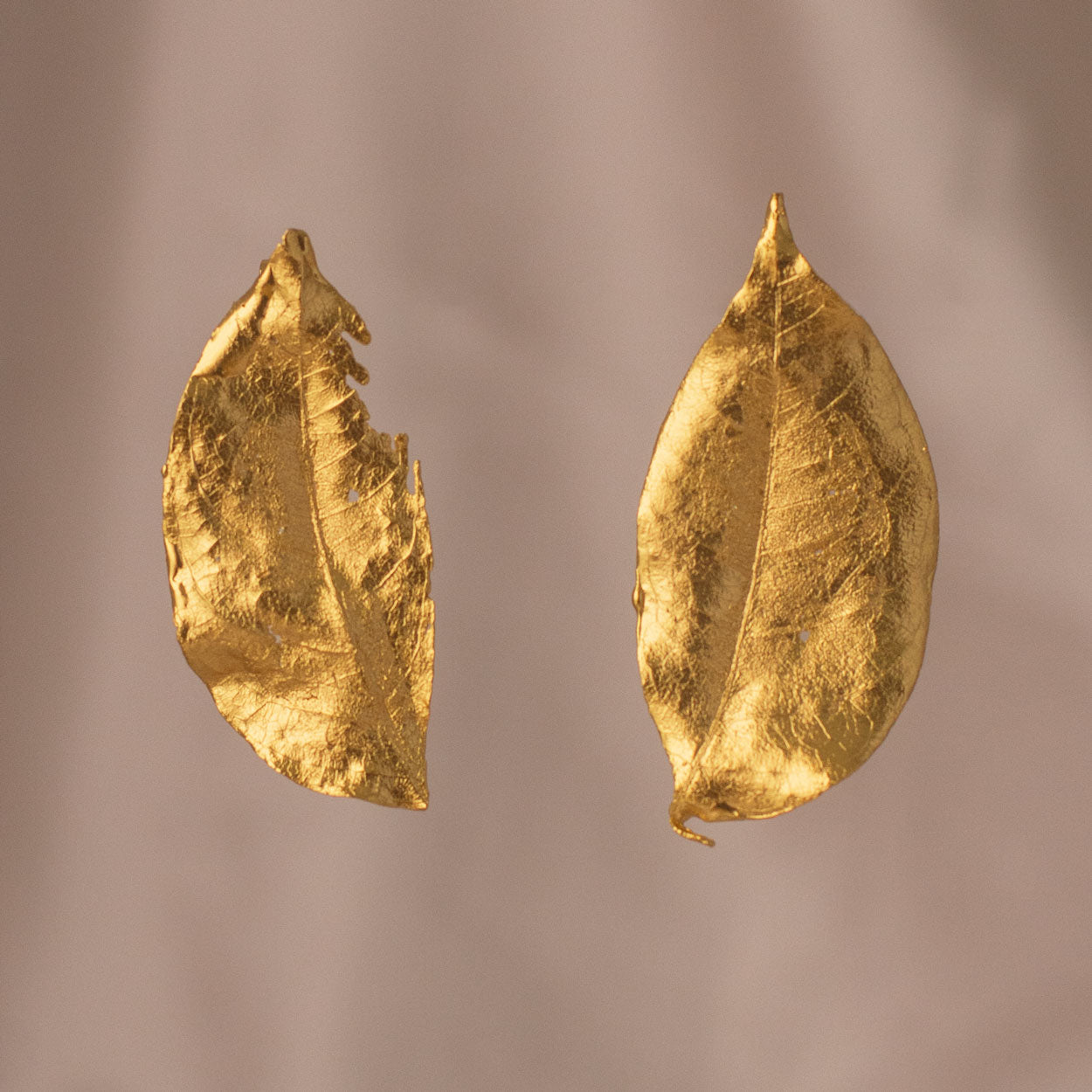 Elegant Cúcuta Leaf Stud Earrings in 24K gold plating, a meaningful accessory that captures the beauty and spirit of Cúcuta